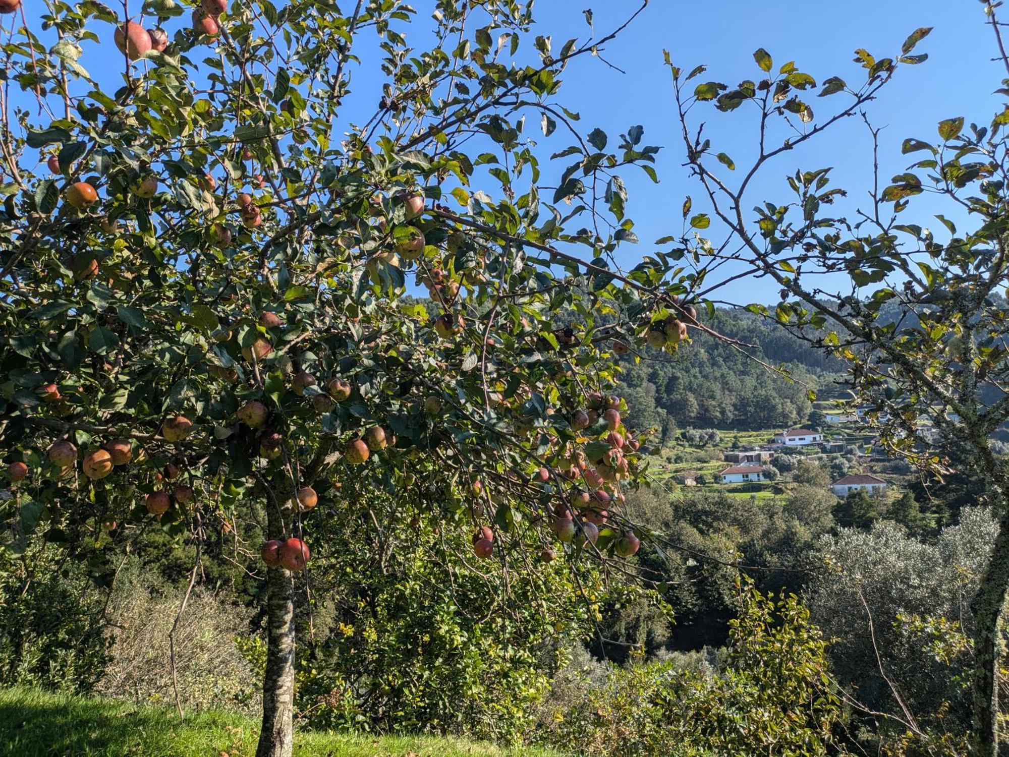 Casa Do Valo Villa Amonde Екстериор снимка