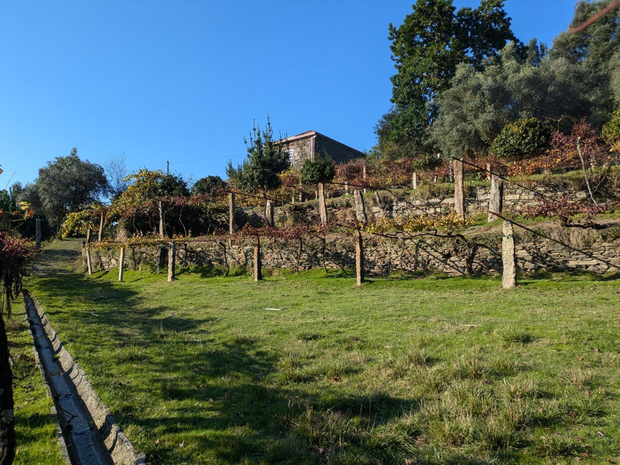 Casa Do Valo Villa Amonde Екстериор снимка