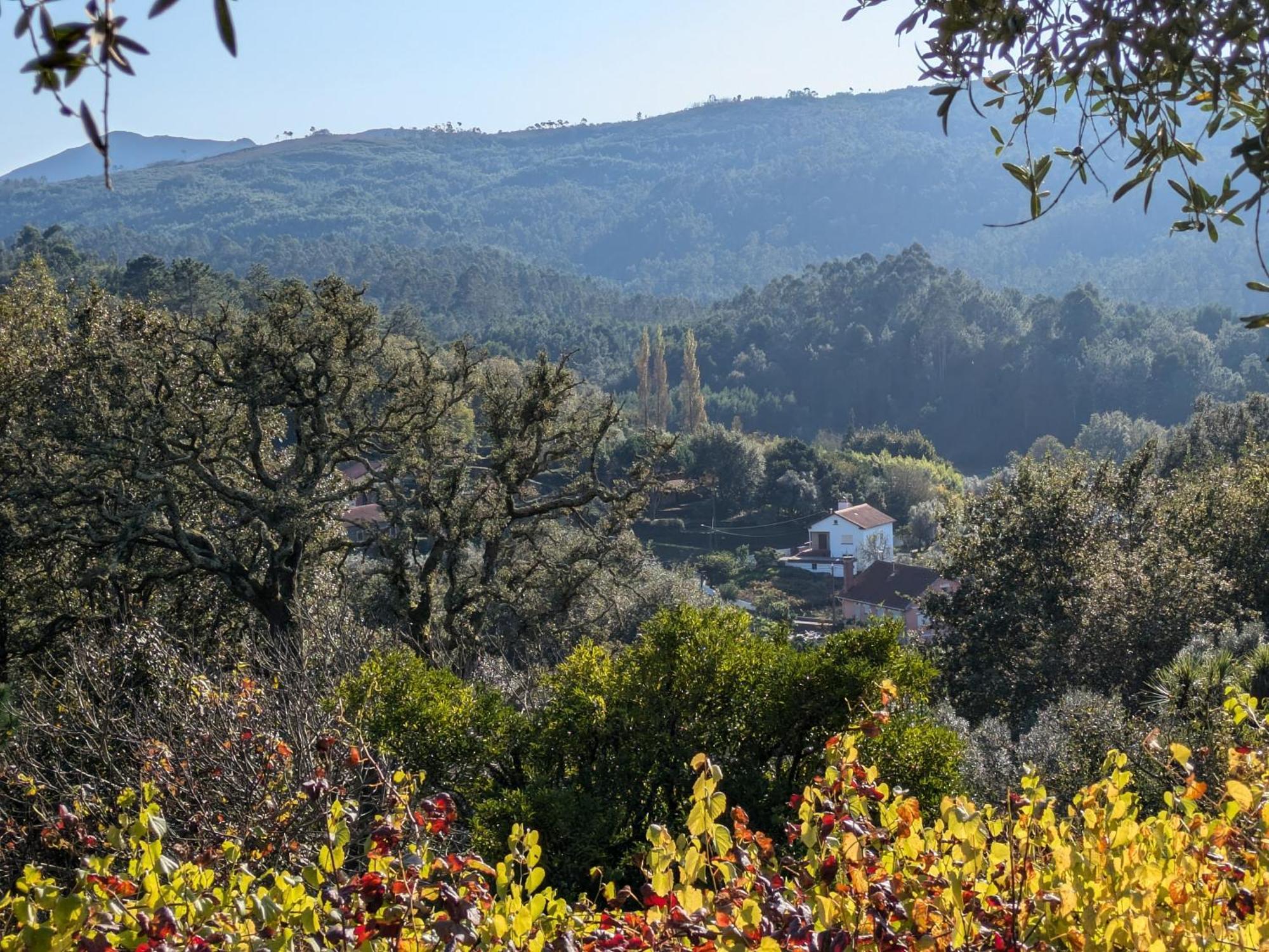 Casa Do Valo Villa Amonde Екстериор снимка